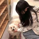沉默的危险手游下载